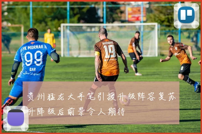 贵州猛龙大手笔引援升级阵容复苏升降级后前景令人期待