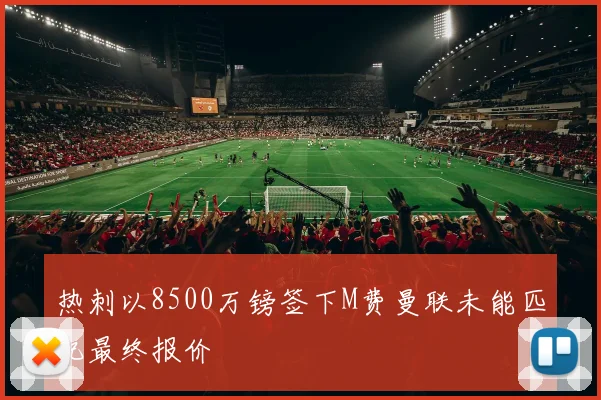 热刺以8500万镑签下M费曼联未能匹配最终报价