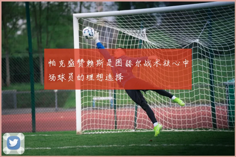 帕克盛赞赖斯是图赫尔战术核心中场球员的理想选择