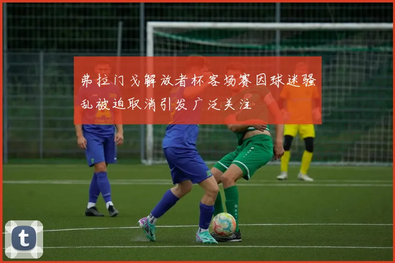 弗拉门戈解放者杯客场赛因球迷骚乱被迫取消引发广泛关注