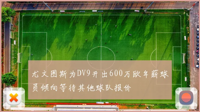 尤文图斯为DV9开出600万欧年薪球员倾向等待其他球队报价
