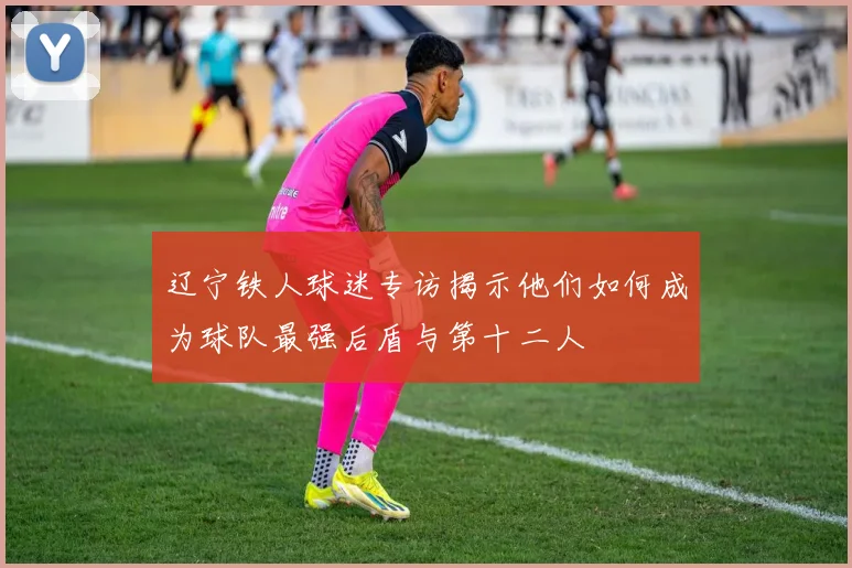 辽宁铁人球迷专访揭示他们如何成为球队最强后盾与第十二人